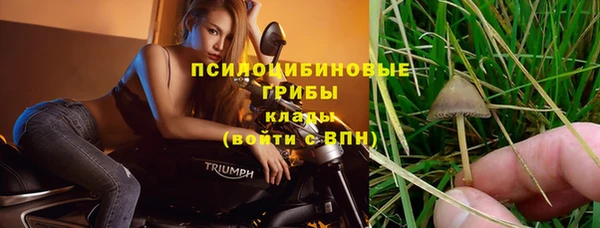 ECSTASY Зеленодольск