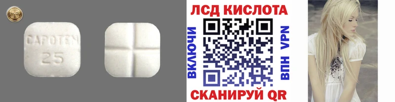 Купить закладки  Вязники  LSD-25 экстази кислота 