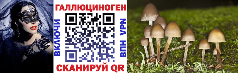 Купить где  Вязники  Псилоцибиновые грибы GOLDEN TEACHER 