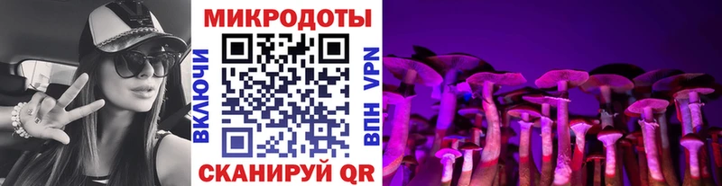 Псилоцибиновые грибы GOLDEN TEACHER Вязники